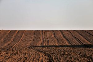 VIO脱毛でクレカ利用時のポイント還元はどのくらい受けられる？