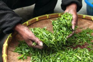 VIO脱毛後の乾燥とかゆみを解消する方法は？