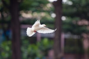 VIO脱毛におすすめのクリニックは大阪にどこにある？