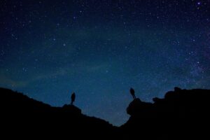 VIO脱毛を夜間診療しているクリニックはどこですか？
