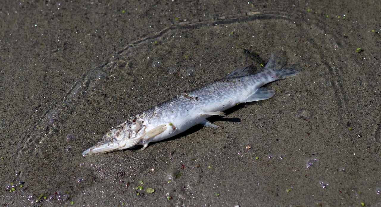 VIO脱毛でデザインをナチュラルに残す方法は？