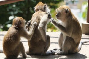 VIO脱毛後のかゆみを軽減するための対策と保湿方法は？