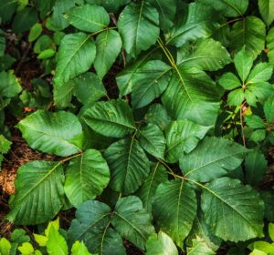 VIO脱毛後のかゆみ対策にはどの保湿方法が効果的？