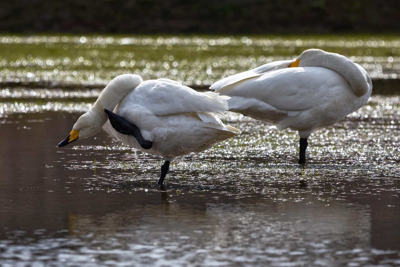 脱毛後の痒みを軽減するための対策は？