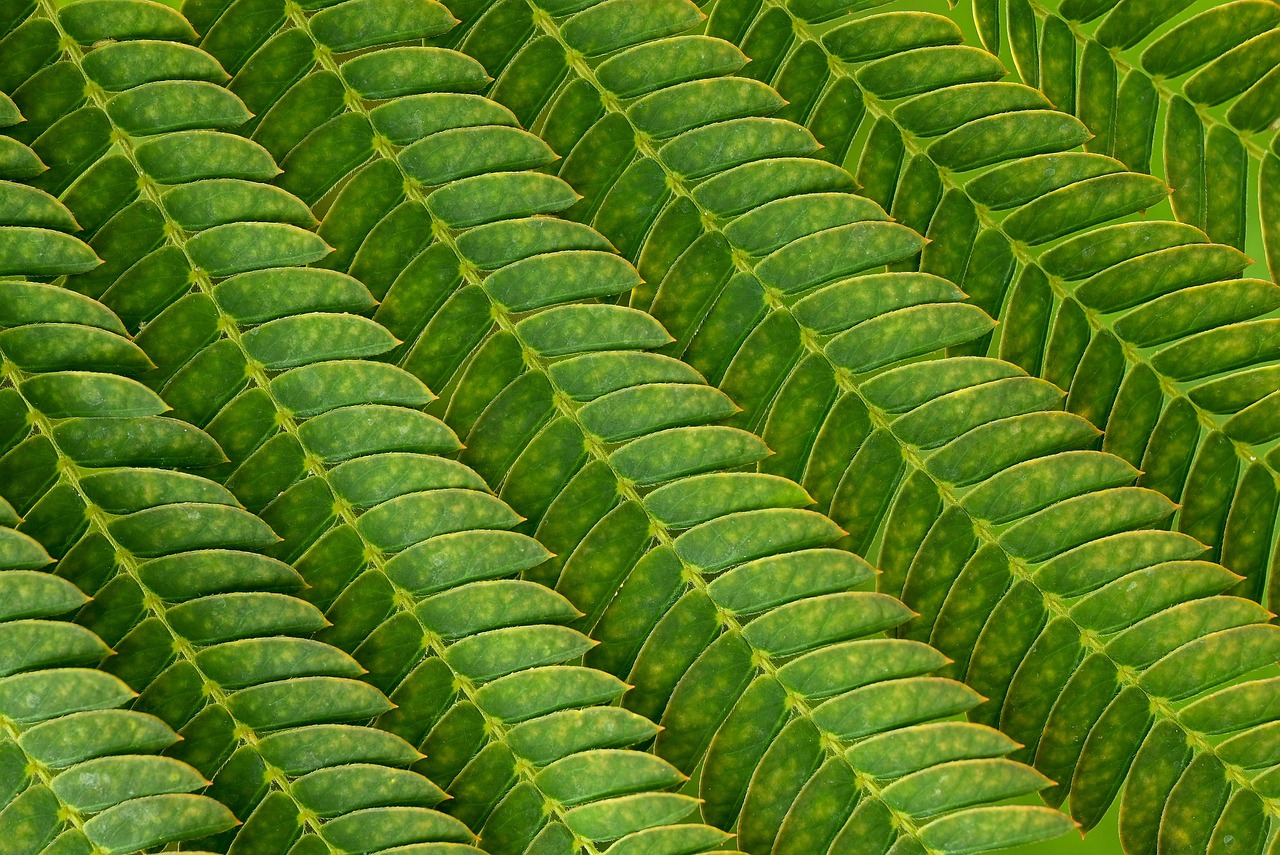 VIO介護脱毛とはどのようなサービスなのか？