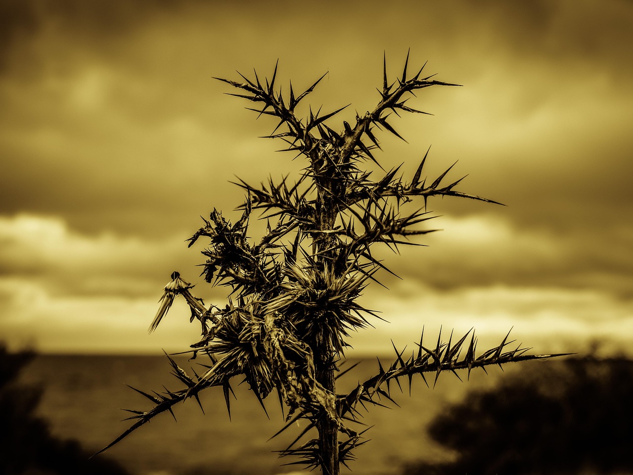 VIO脱毛の痛みに関する口コミと評判はどうなっているの？