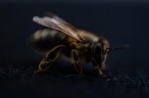 VIO脱毛を安心して受けられるクリニックはどこですか？