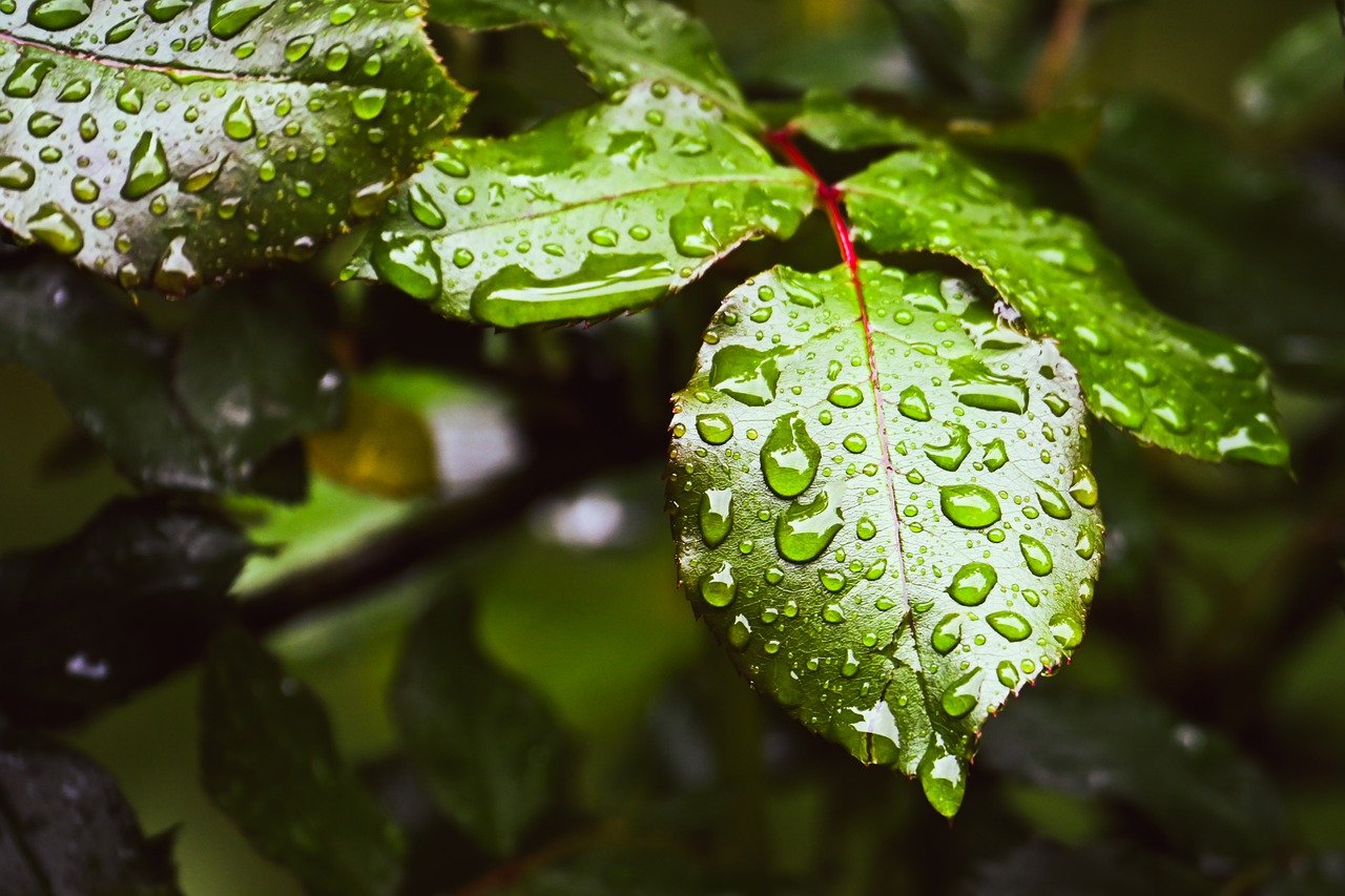 「vio脱毛後の保湿は必要？正しいケア方法を解説！」